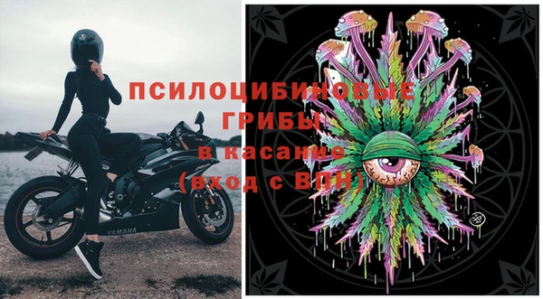 твердый Гусь-Хрустальный