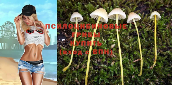твердый Гусь-Хрустальный