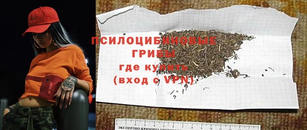 твердый Гусь-Хрустальный