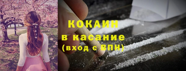 твердый Гусь-Хрустальный