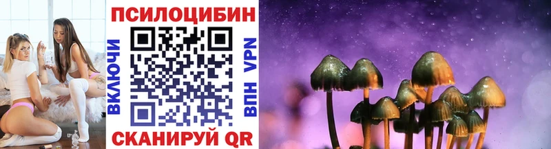 Галлюциногенные грибы MAGIC MUSHROOMS  где найти   Зверево 